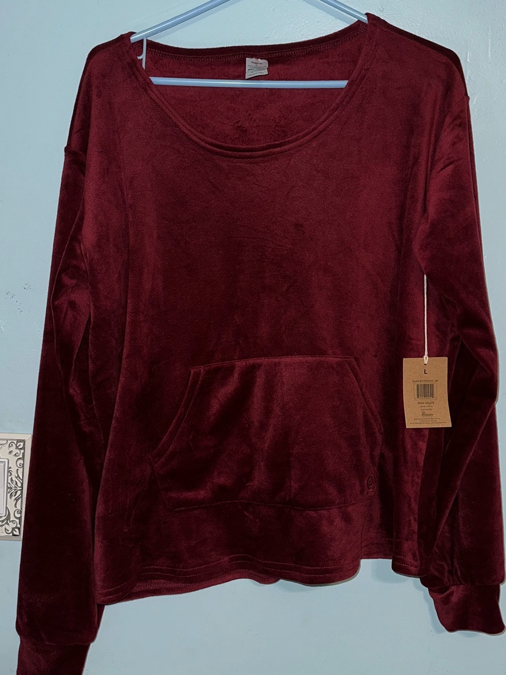 Born Plush Pullover Hoodie in Wine